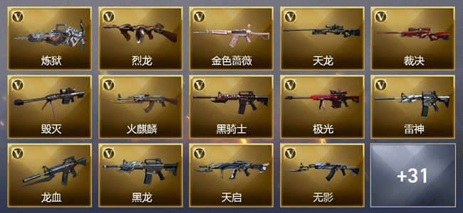 穿越火线（CF）8王者武器 7炫金武器 43V武器 17V角色 19皮肤 可排位