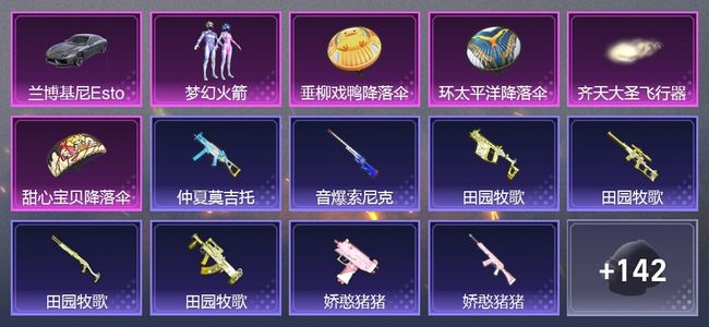 和平精英1载具 1粉装 1尾迹 91套装 2,8694热力 4印记