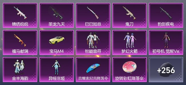 和平精英1载具 6升级枪 5粉装 4尾迹 177套装 6,2983热力 15印记
