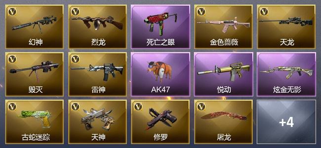 穿越火线（CF）0传说角色 0传说武器 1王者武器 1炫金武器 23V武器 11V角色 9皮肤 可排位 无