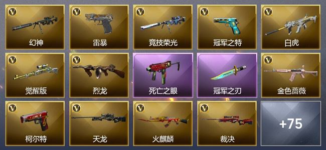 穿越火线（CF）0传说角色 0传说武器 10王者武器 5炫金武器 98V武器 28V角色 32皮肤 可排位 无