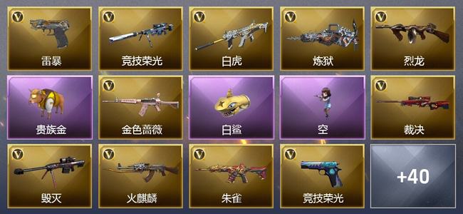 穿越火线（CF）0传说角色 0传说武器 3王者武器 2炫金武器 55V武器 39V角色 27皮肤 可排位 无