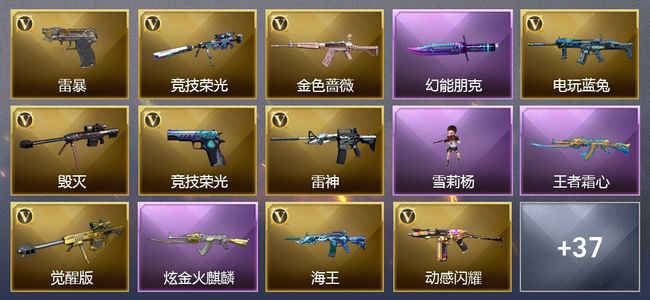 穿越火线（CF）1王者武器 1炫金武器 61V武器 1V角色 14皮肤 可排位 新锐