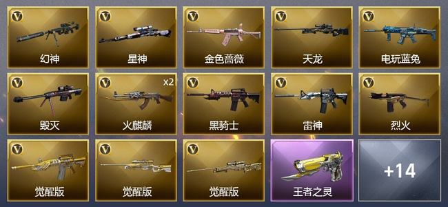 穿越火线（CF）1王者武器 21V武器 15皮肤 可排位 专家