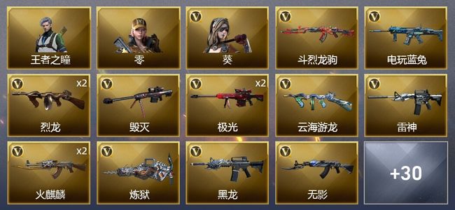 穿越火线（CF）1王者武器 1炫金武器 35V武器 1V角色 12皮肤 可排位