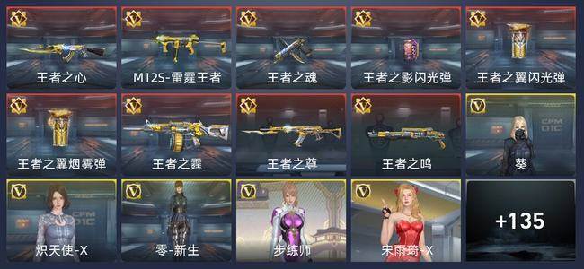 穿越火线：枪战王者V1 9王者 158英雄武器 6英雄角色 208万化 新锐