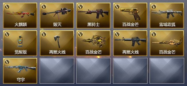 穿越火线（CF）11V武器 4皮肤 可排位 精英