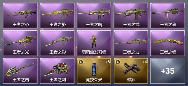 穿越火线（CF）13王者武器 49V武器 3V角色 11皮肤 可排位 传奇