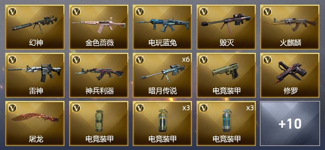 穿越火线（CF）24V武器 5皮肤 可排位 新锐