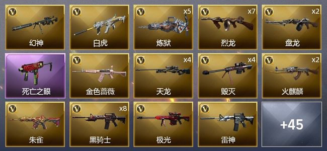 穿越火线（CF）6王者武器 3炫金武器 81V武器 2V角色 18皮肤 可排位