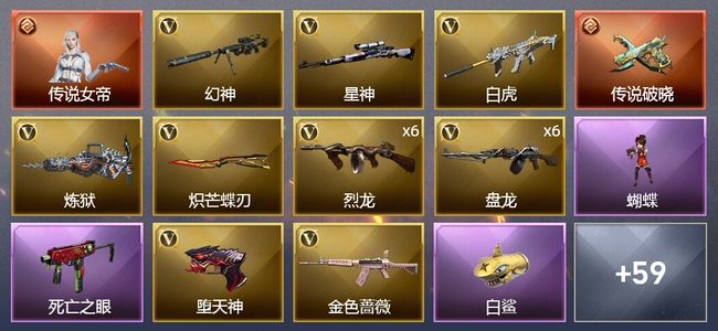 穿越火线（CF）1传说角色 2传说武器 4王者武器 3炫金武器 76V武器 5V角色 33皮肤 可排位 专家
