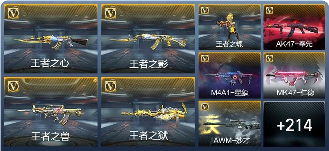 穿越火线：枪战王者9王者武器 223英雄武器 7英雄角色 478万化 大师