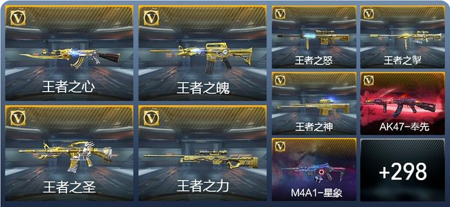 穿越火线：枪战王者V8 25王者武器 307英雄武器 8英雄角色 496万化 枪圣SS