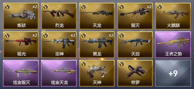 穿越火线（CF）1王者武器 2炫金武器 24V武器 1V角色 7皮肤 可排位 专家