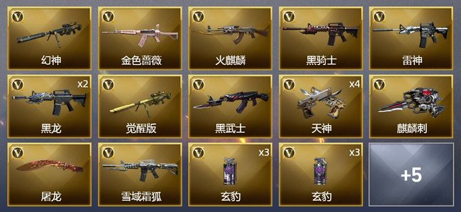 穿越火线（CF）28V武器 10皮肤 可排位 传奇