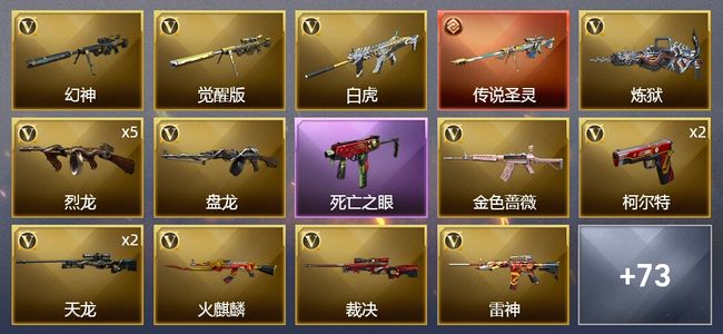 穿越火线（CF）1传说武器 9王者武器 2炫金武器 88V武器 3V角色 45皮肤 可排位 枪王