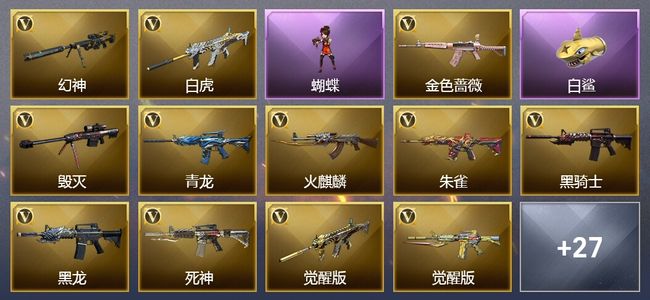 穿越火线（CF）1炫金武器 53V武器 1V角色 3皮肤 可排位 专家