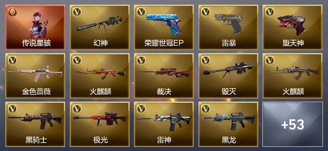 穿越火线（CF）1传说角色 4王者武器 55V武器 4V角色 31皮肤 可排位 枪王