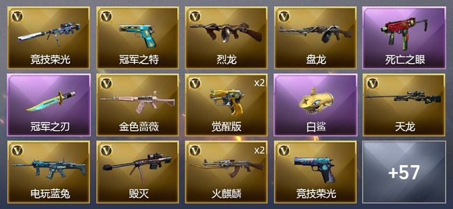 穿越火线（CF）5王者武器 76V武器 2V角色 35皮肤 可排位 新锐