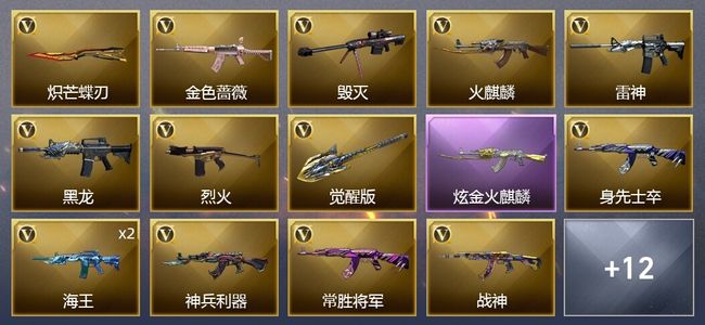 穿越火线（CF）1炫金武器 23V武器 14皮肤 可排位 新锐