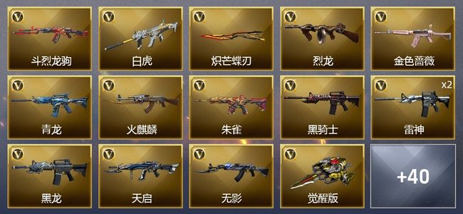 穿越火线（CF）2王者武器 57V武器 1V角色 23皮肤 可排位 新锐