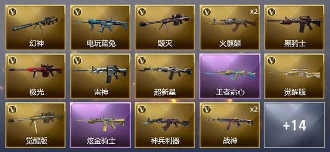 穿越火线（CF）1王者武器 1炫金武器 21V武器 10皮肤 可排位 新锐