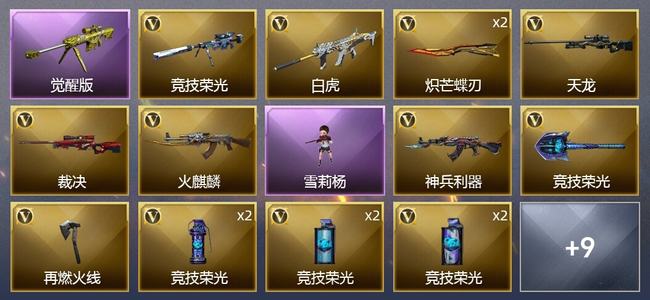 穿越火线（CF）0传说角色 0传说武器 1王者武器 0炫金武器 17V武器 0V角色 5皮肤 无