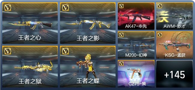 穿越火线：枪战王者V7 8王者武器 176英雄武器 4英雄角色 299万化 枪皇S