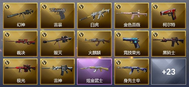 穿越火线（CF）1炫金武器 48V武器 1V角色 12皮肤 可排位