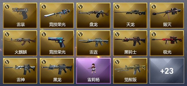 穿越火线（CF）67V武器 3V角色 12皮肤 可排位 新锐