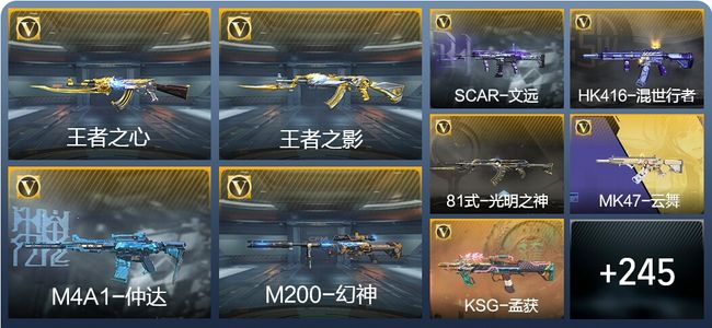 穿越火线：枪战王者12王者武器 254英雄武器 9英雄角色 489万化 枪王SS