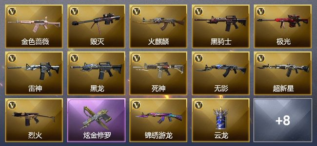 穿越火线（CF）1炫金武器 21V武器 5皮肤 可排位