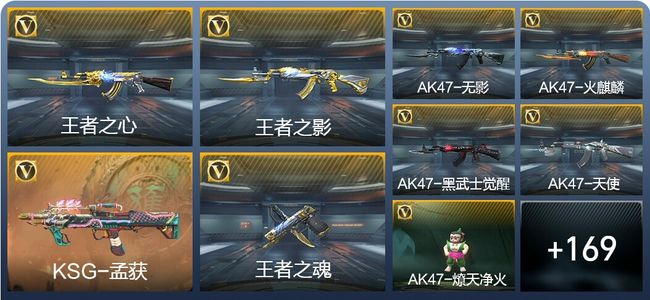 穿越火线：枪战王者6王者武器 178英雄武器 1英雄角色 248万化 专家S