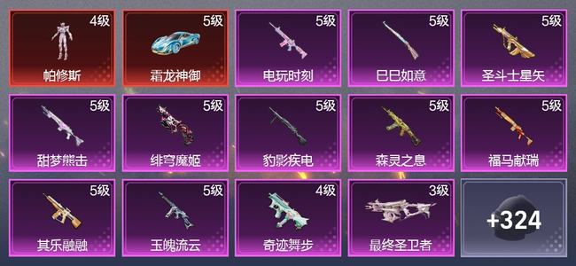 和平精英4载具 12升级枪 9粉装 6尾迹 212枪皮 120套装 7,1035热力 3印记 星钻