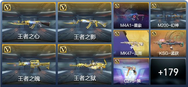 穿越火线：枪战王者V8 5王者武器 202英雄武器 4英雄角色 304万化 大师