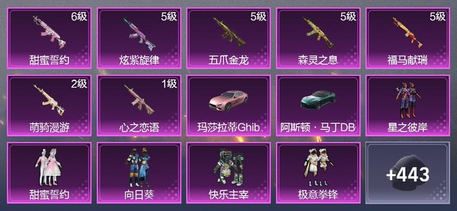 和平精英2载具 7升级枪 5粉装 3尾迹 228枪皮 235套装 77802热力 11印记 王牌