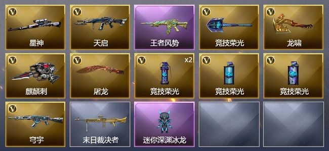穿越火线（CF）1王者武器 11V武器 4皮肤 可排位
