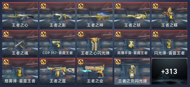 穿越火线：枪战王者V3 22王者 314英雄武器 13英雄角色 196万化 枪皇S