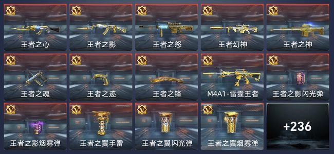 穿越火线：枪战王者V8 24王者 240英雄武器 10英雄角色 342万化 枪神