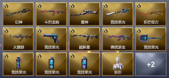 穿越火线（CF）13V武器 1V角色 3皮肤 可排位 枪王