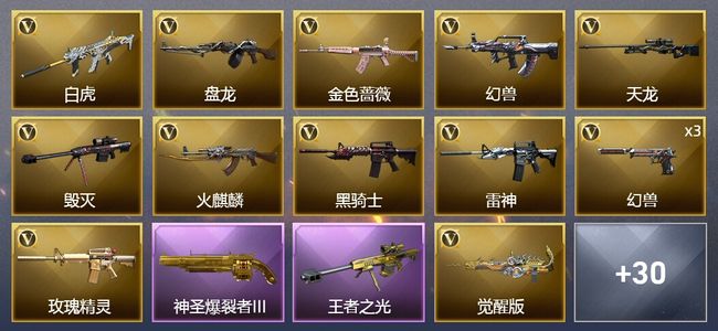 穿越火线（CF）2王者武器 2炫金武器 46V武器 2V角色 21皮肤 可排位 宗师