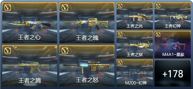 穿越火线：枪战王者V8 26王者武器 219英雄武器 2英雄角色 408万化 枪圣SSS