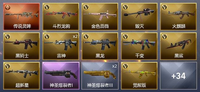 穿越火线（CF）1传说武器 4王者武器 1炫金武器 23V武器 9皮肤 可排位 新锐