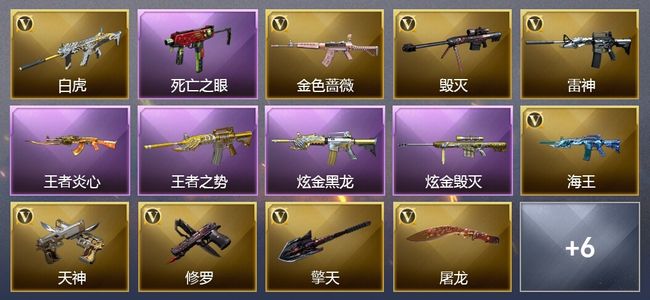 穿越火线（CF）2王者武器 2炫金武器 11V武器 1V角色 6皮肤 可排位 新锐