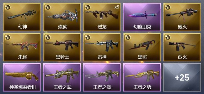 穿越火线（CF）9王者武器 5炫金武器 28V武器 1V角色 12皮肤 可排位 枪王