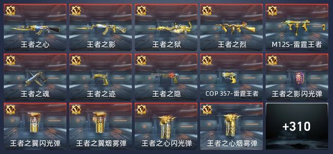 穿越火线：枪战王者V5 33王者 311英雄武器 13英雄角色 493万化 枪神