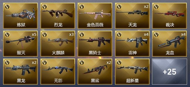 穿越火线（CF）5王者武器 3炫金武器 55V武器 2V角色 8皮肤 可排位 新锐