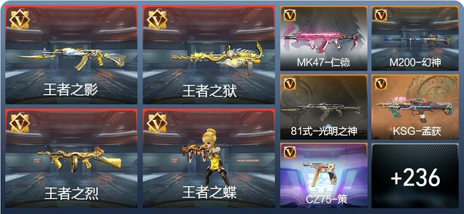 穿越火线：枪战王者V5 13王者 245英雄武器 9英雄角色 224万化 大师