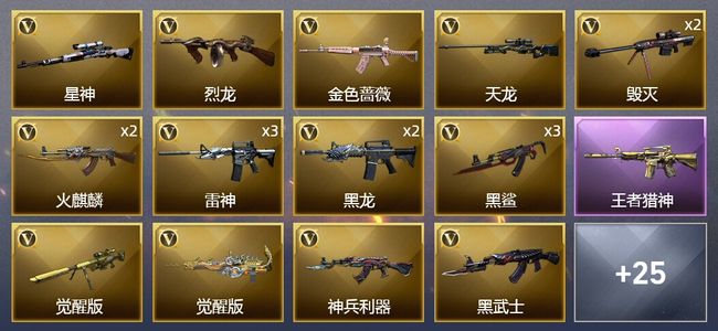 穿越火线（CF）1王者武器 36V武器 2V角色 14皮肤 可排位 宗师