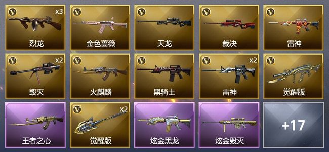 穿越火线（CF）3王者武器 2炫金武器 33V武器 11皮肤 可排位 传奇